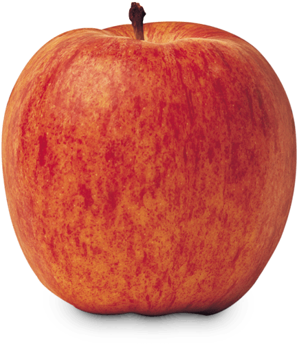 Gala - Royal Gala Apple (500x500), Png Download