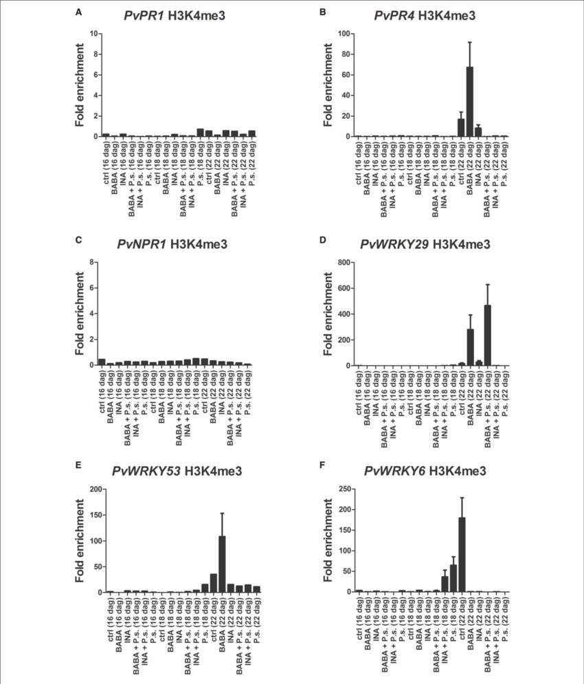 Histone Methylation Profiles As Determined By Chip - .org (850x995), Png Download