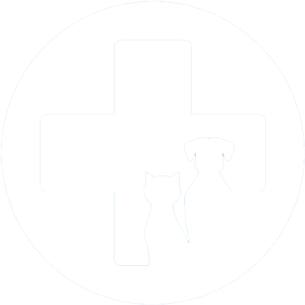 Williston Veterinary Clinic - Williston (465x465), Png Download