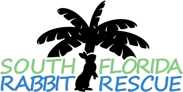 South Florida Rabbit Rescue - Silhouette (640x329), Png Download