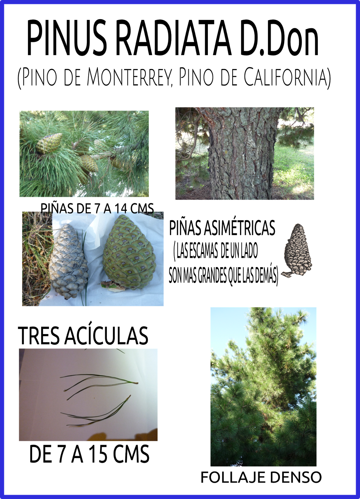 Con Esta Entrada Termino Todos Los Detalles De Identificación - Wir Können Alles Außer (1155x1600), Png Download