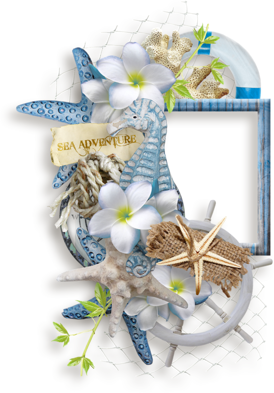 Png Flowers And Clusters - Scrapbook Frames Beach Png (558x800), Png Download