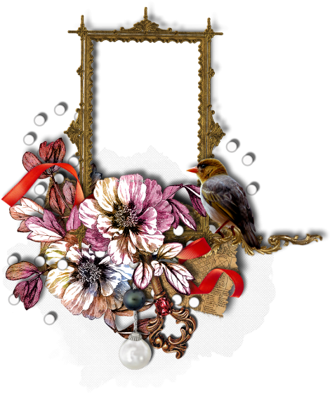 Picture Frame (500x595), Png Download