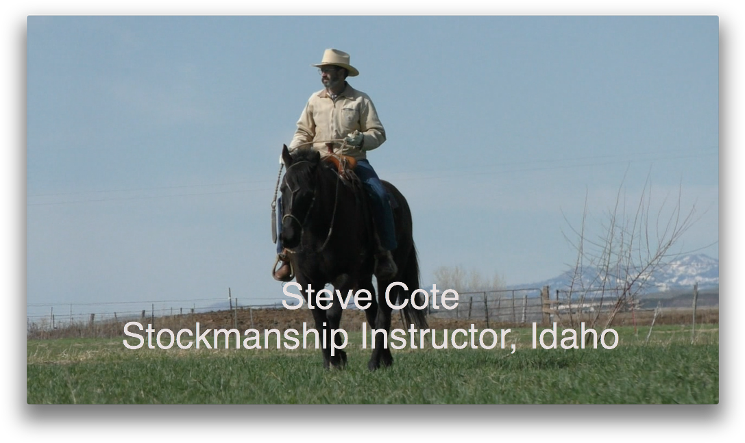 Steve And Susan Cote, June - Cattle Sense (1100x658), Png Download