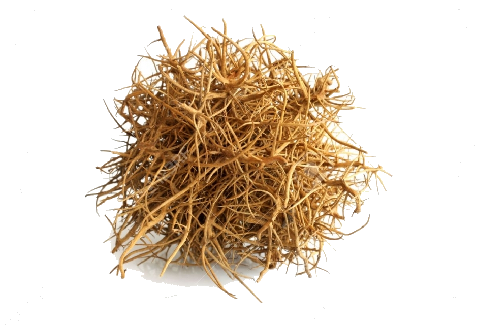 Tumbleweed On White Background (939x640), Png Download