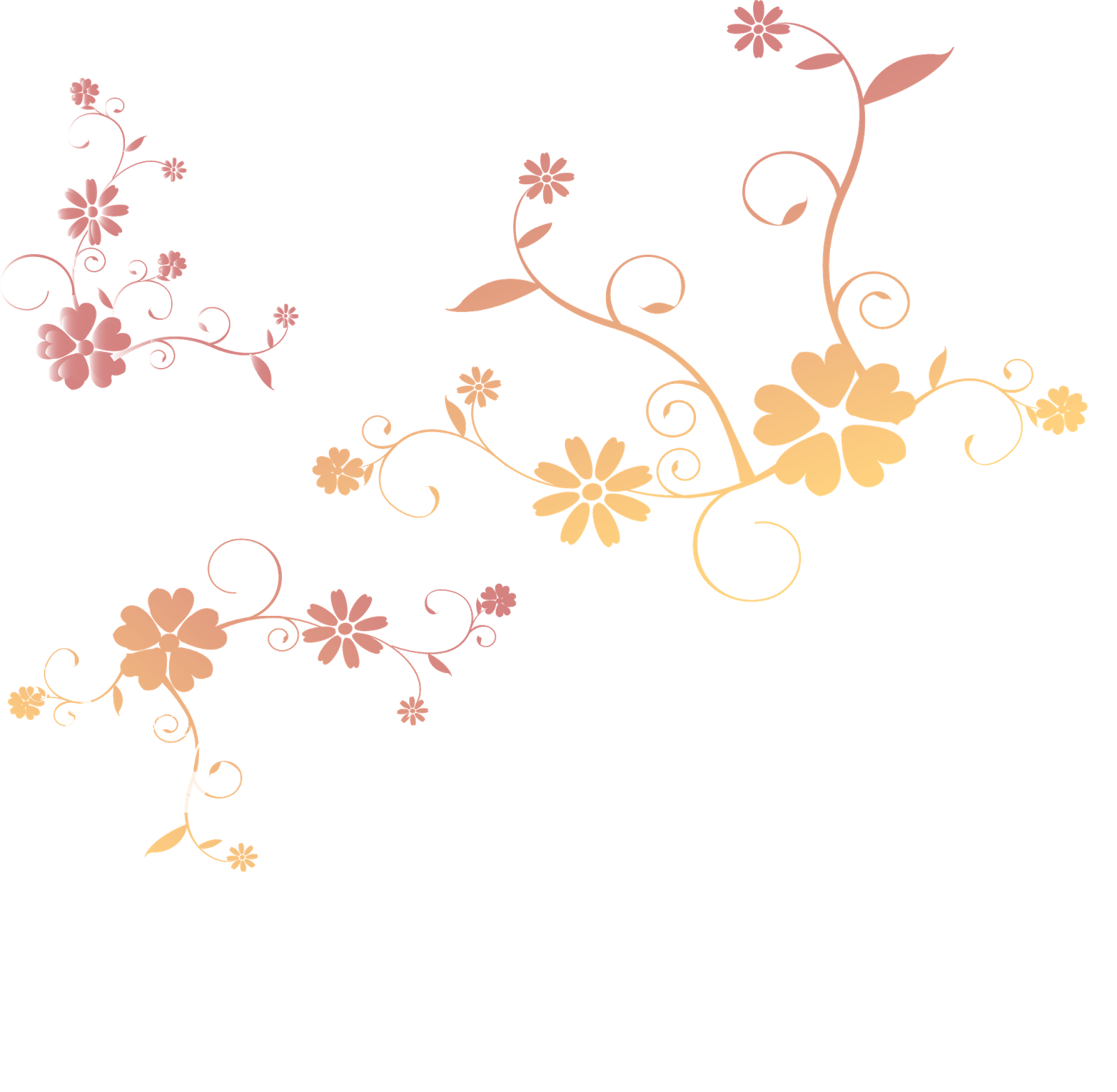 Apresentamos Alguns Tipos De Flores E Ornamentos Para - Flores Com Fundo Transparente Png (1600x1564), Png Download