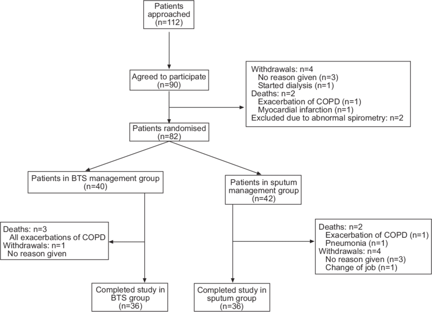 Chronic Obstructive Pulmonary Disease - British Thoracic Society Copd (850x613), Png Download
