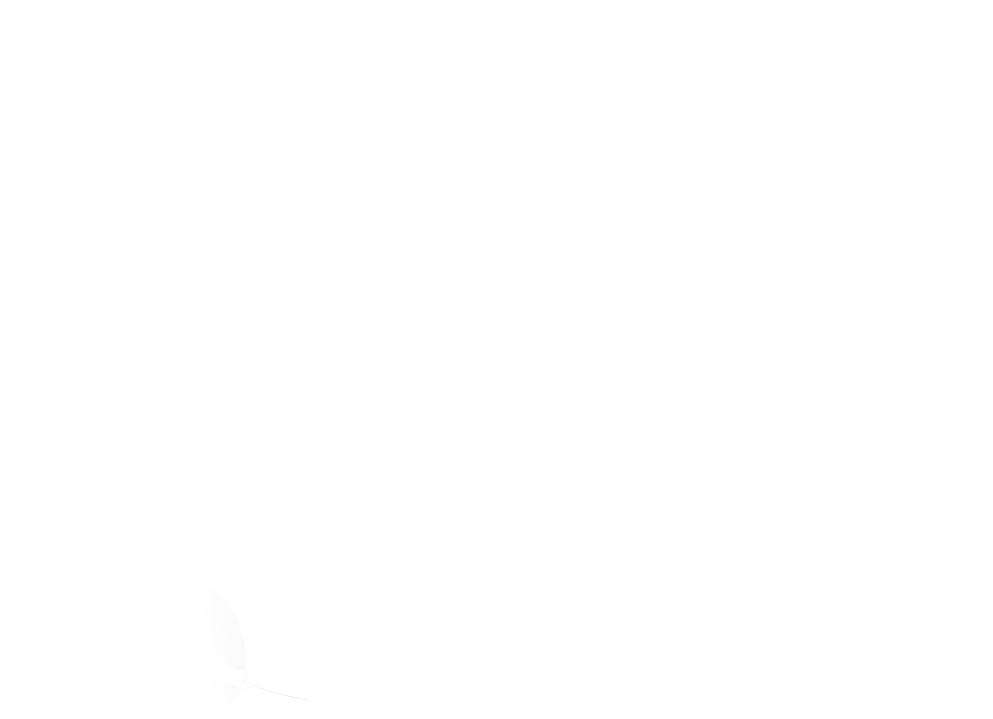 Off 2017 - Stihl Hp Super 2 Stroke Engine Oil 1 L Metering Bottle (1000x930), Png Download