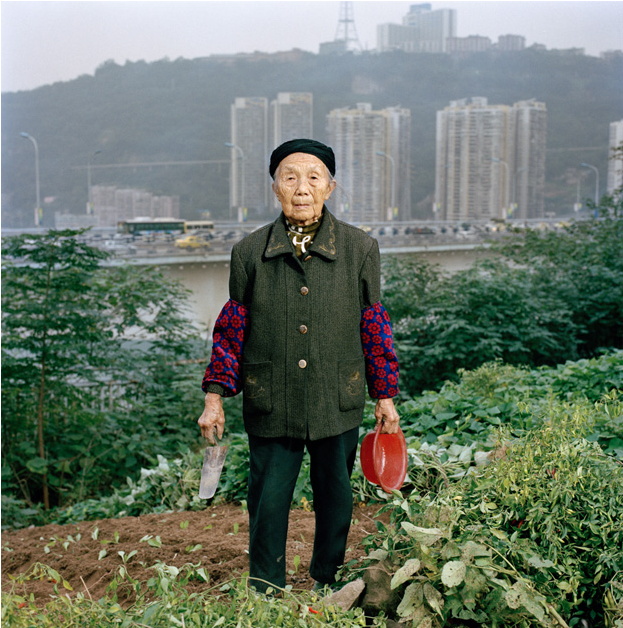 Zhong Baixin, Eighty-seven, Is Cultivating A Square - Chongqing (940x627), Png Download