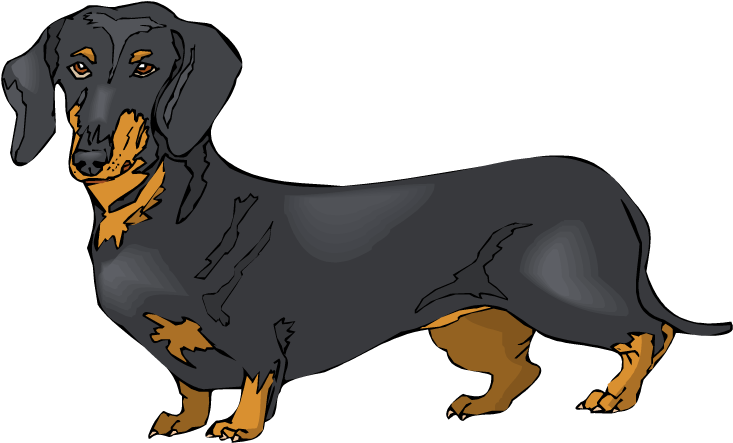 Clip Art Dachshund Dogs (750x454), Png Download