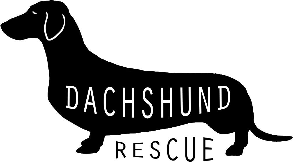 Dachshund Rescue Transparent - Boat (1181x709), Png Download