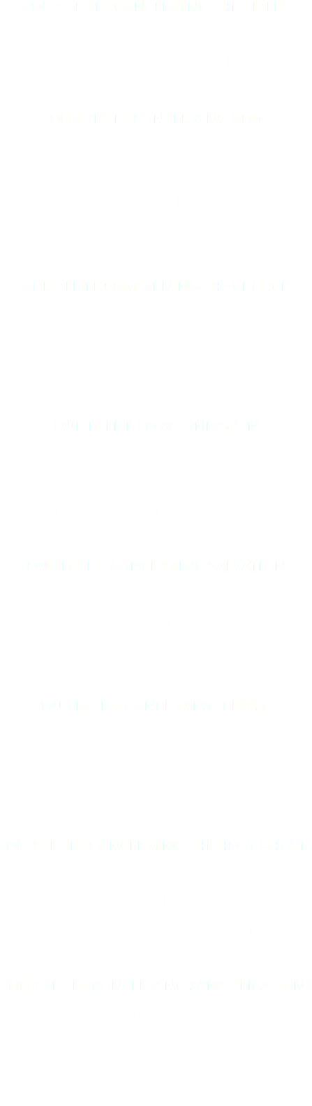 Our Belief Concerning The Bible We Believe The Bible - Tan (449x1600), Png Download