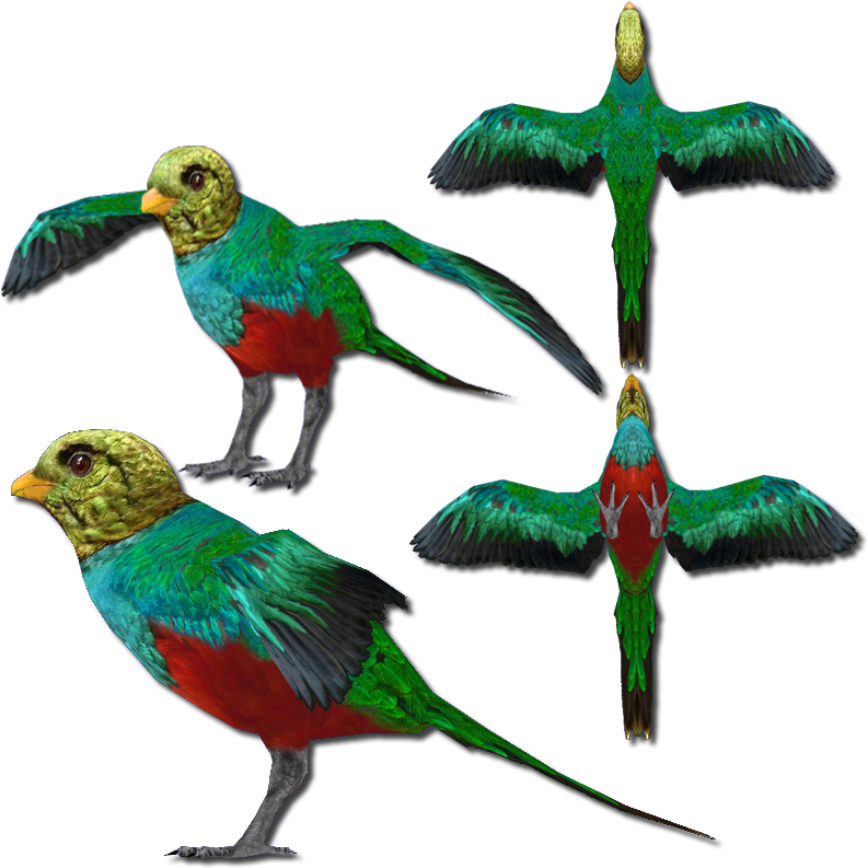 Golden-headed Quetzal V2 - Golden-headed Quetzal (831x801), Png Download