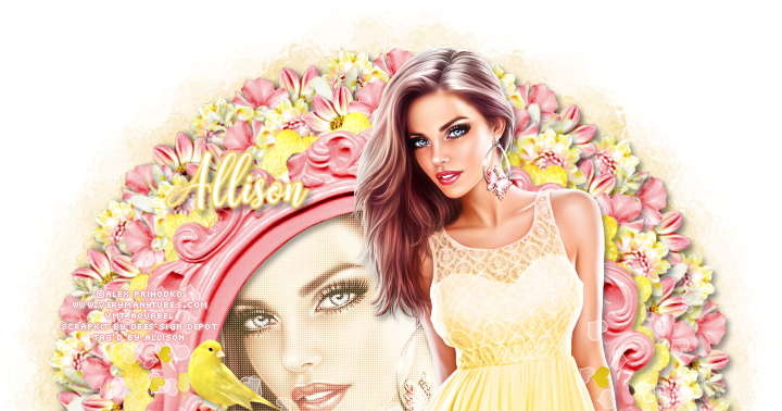 Photo Shoot (720x378), Png Download