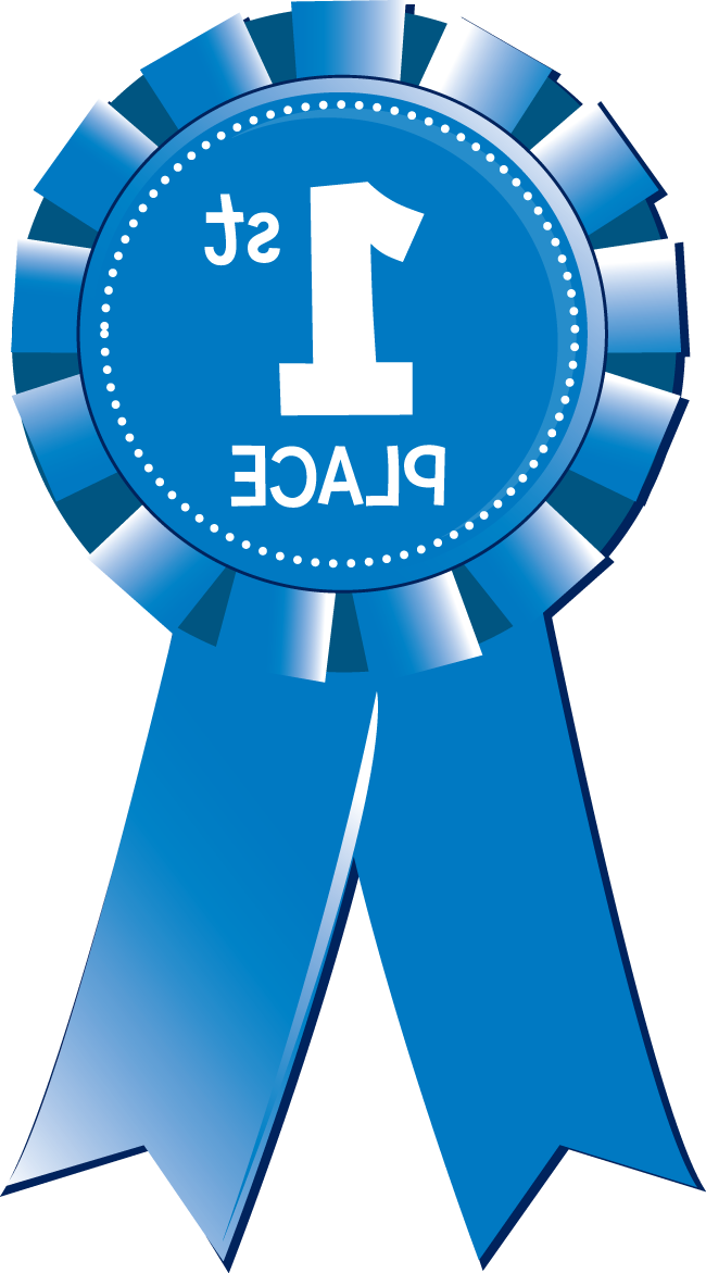 1st Place Medal Clipart Free - 1st Place Ribbon Png (650x1171), Png Download