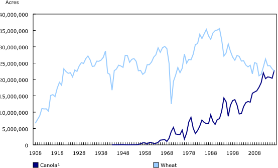 Chart1, From 1908 To - Wheat (580x345), Png Download