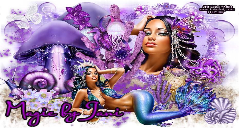 Magic By Jani - January (930x500), Png Download