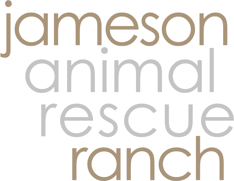 Jameson Rescue Ranch Competitors, Revenue And Employees - Cambridge English Teacher (942x813), Png Download