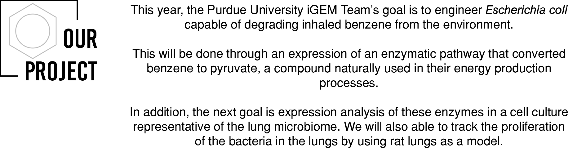 Projectdescription - .org (1832x477), Png Download