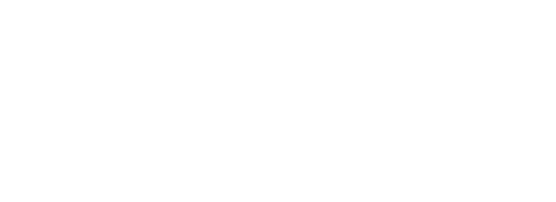 Primary Logo Action Logo - Poster (856x300), Png Download