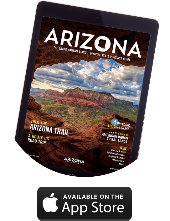 Also Available On Your Ipad - Available On The App Store (543x703), Png Download
