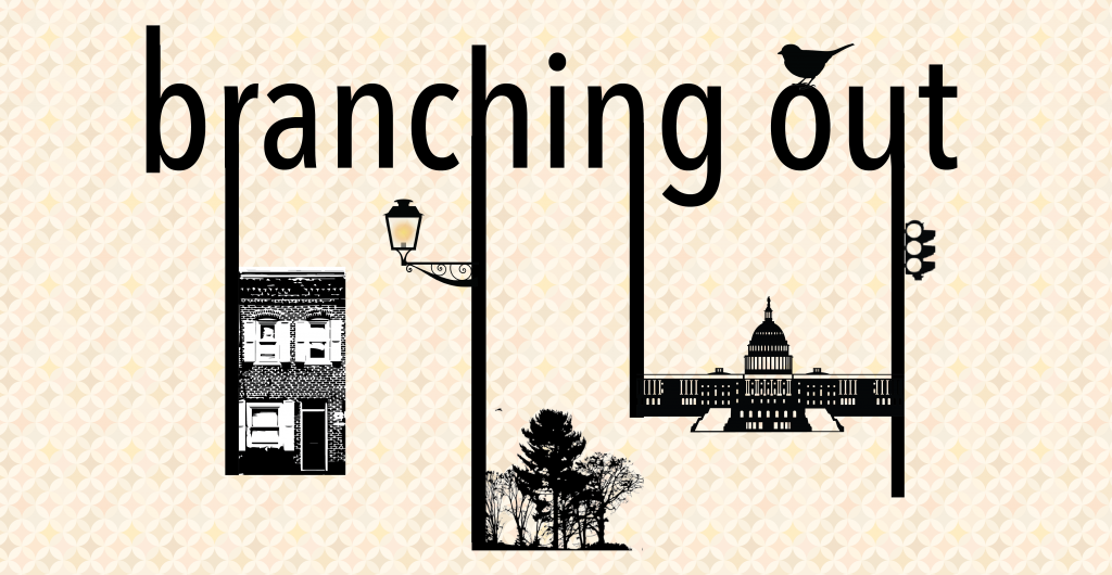 Branching Out - D - C - 's Troubled Democracy - Graphic Design (1024x530), Png Download