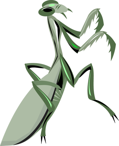 Mantis Png - Praying Mantis Clipart Png (388x473), Png Download