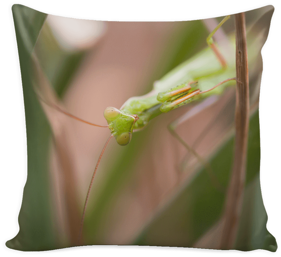 Stencils Prints On Pillow Cover (1024x1024), Png Download