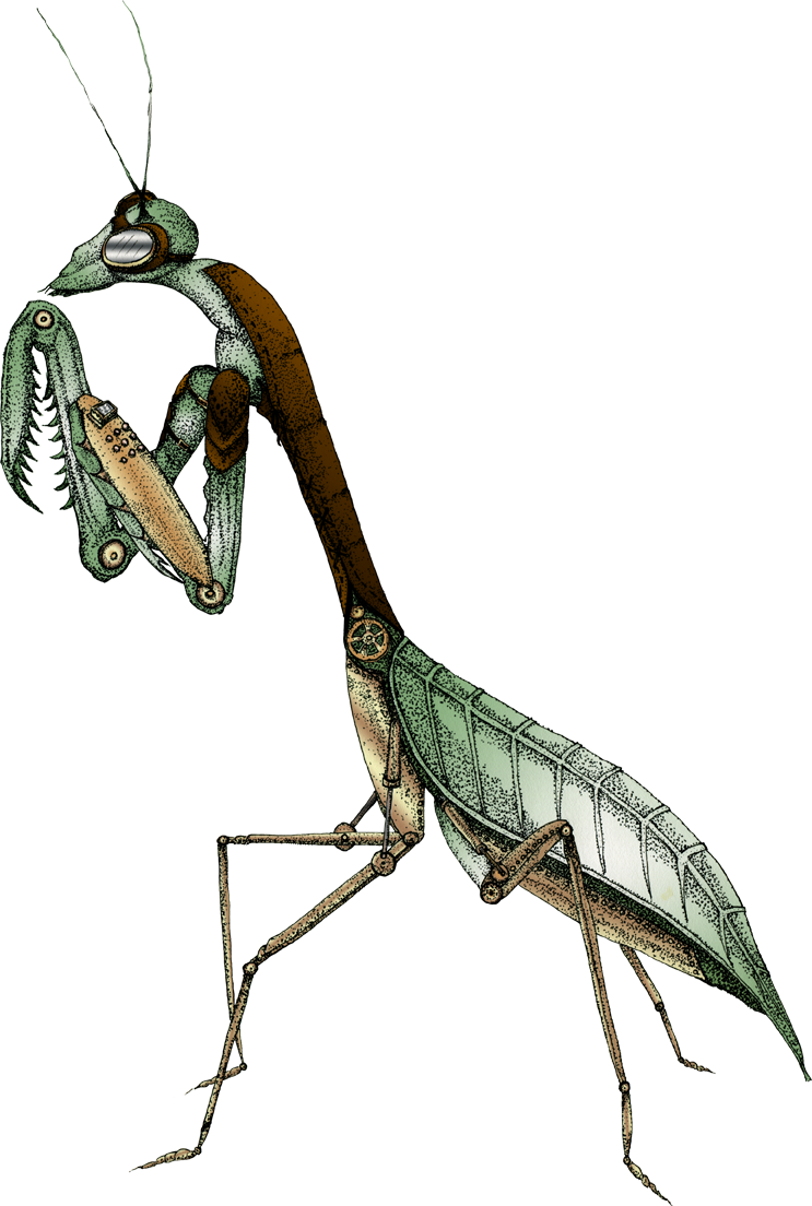 Illustration Of Praying Mantis With Steam Punk Additions - Mantidae (743x1104), Png Download