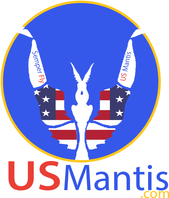 Mantis (600x700), Png Download