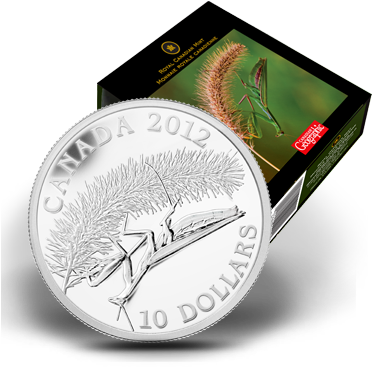 Flash - Silver (388x371), Png Download