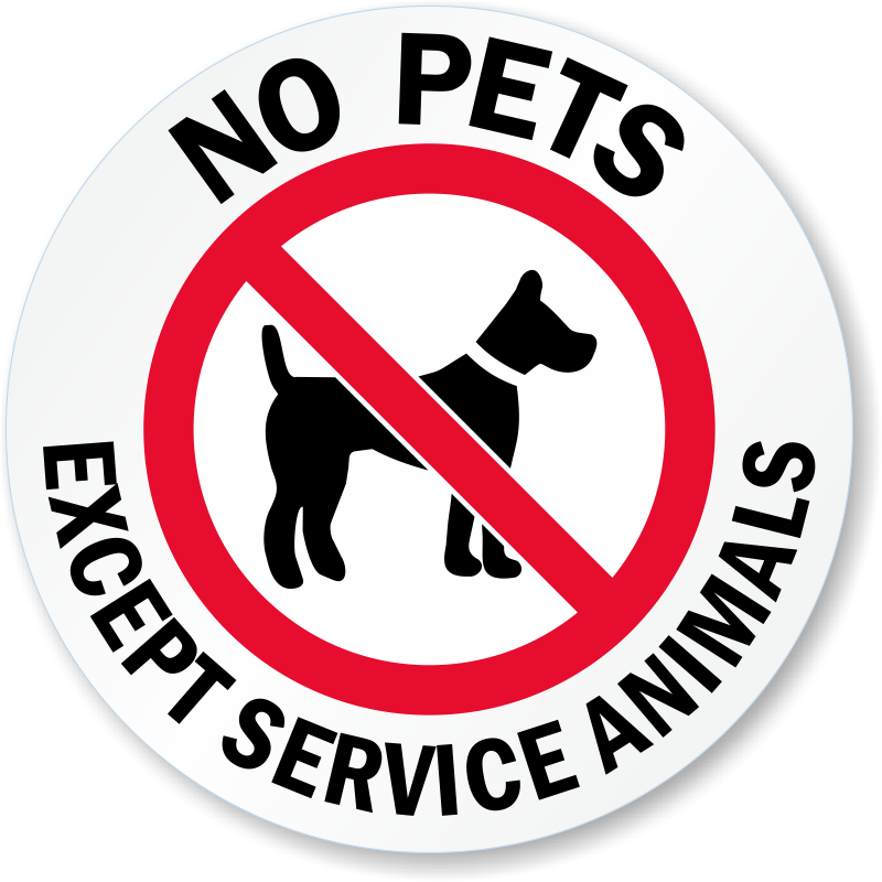 Zoom, Price, Buy - No Dog Sign (800x800), Png Download