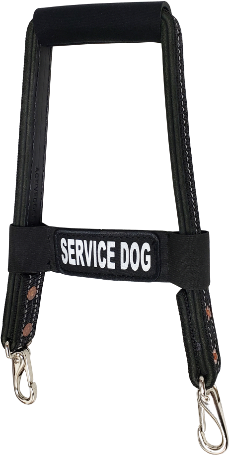 Dog (917x1000), Png Download