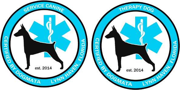 Service Dog Trainer Panama City Fl - Florida (600x352), Png Download