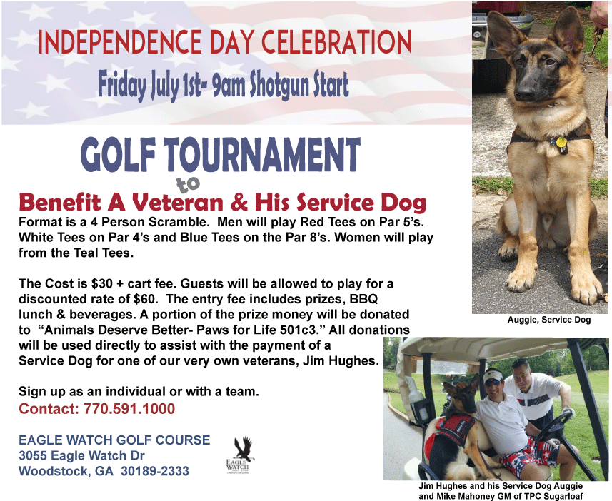 Paws For Life Golf Tournament To Help Veteran And His - Golf (856x708), Png Download
