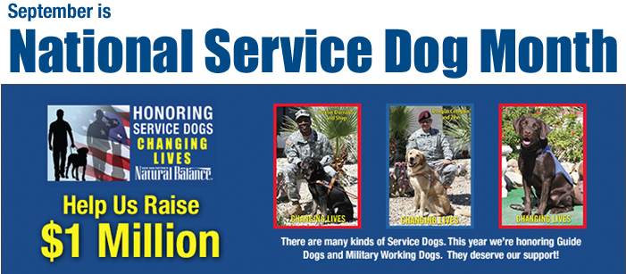 National Service Dog Month With Natural Balance - Service Tax Ready Reckoner 25th Edn 2015 (700x315), Png Download
