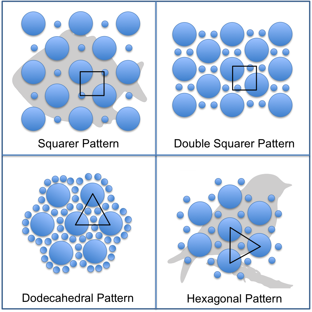 Circle (1016x1016), Png Download
