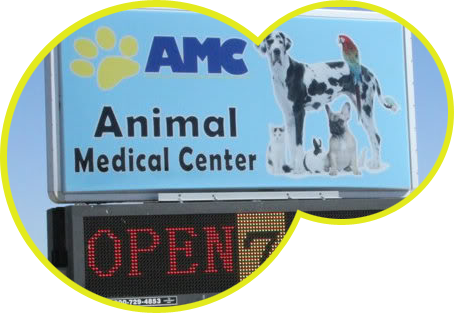 Welcome To Animal Medical Center - Group Of Pets (456x313), Png Download