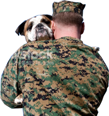 The Humane Society Of Harford County Inc - Veterans Seeing Their Family (507x414), Png Download