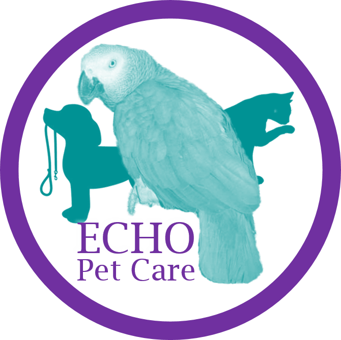 Echo Logo Png - Parakeet (670x669), Png Download