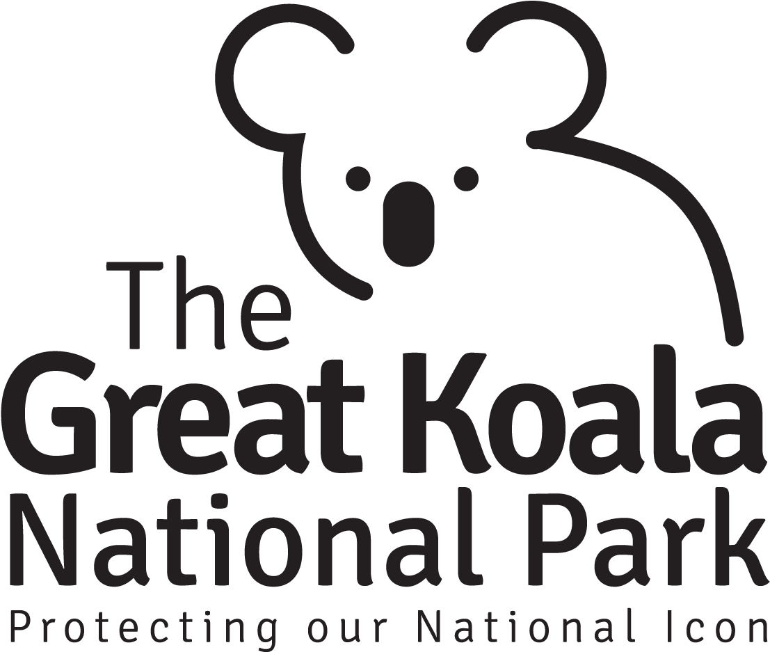 Koala (1250x1250), Png Download