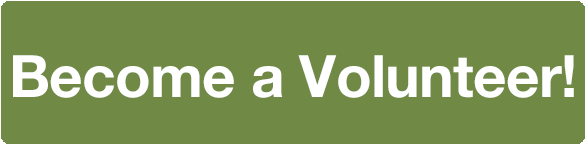 We Look Forward To Connecting You With Volunteer Opportunities - Disabled Parking Permit (600x200), Png Download