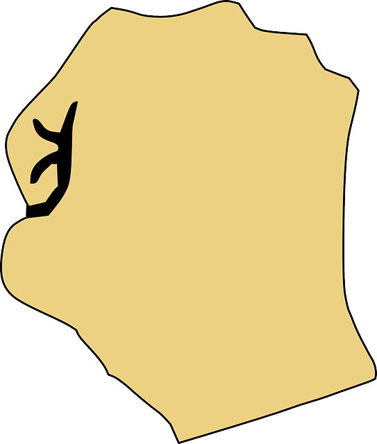Back Of Clenched Fist Clipart - Back Of Fist Clipart (504x594), Png Download