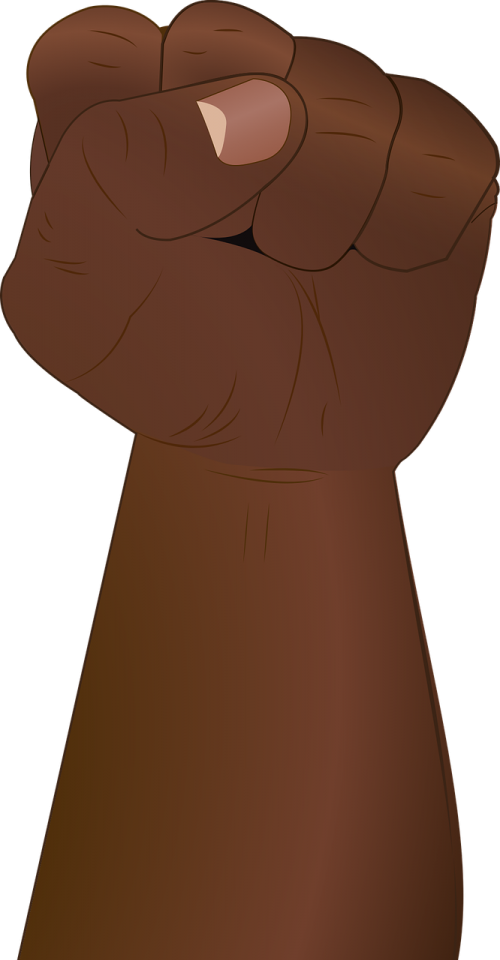 Brown Fist Clipart (500x960), Png Download