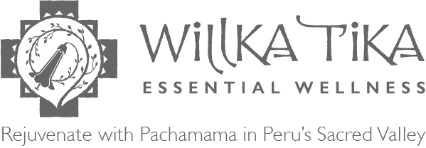 Willka T'ika Essential Wellness (599x208), Png Download