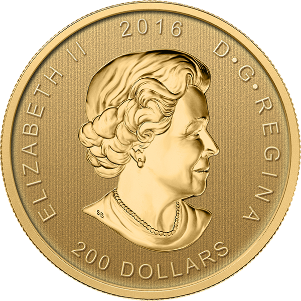 2016 "roaring Grizzly" Canadian Gold Coin (600x600), Png Download