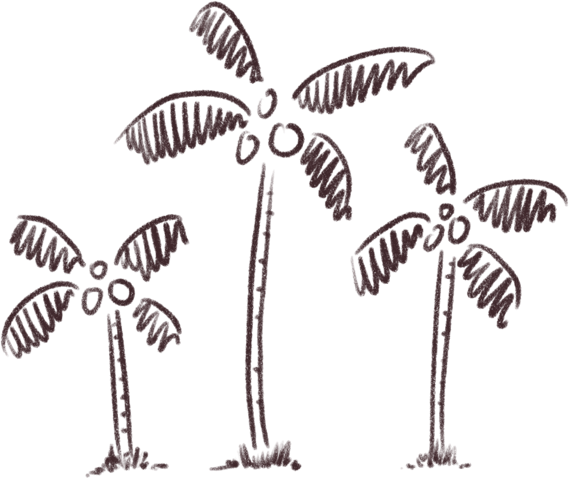 Coconut Bowls - Attalea Speciosa (1210x1211), Png Download