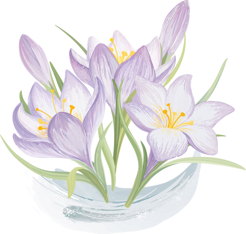 Image Du Blog Zezete2 - Vectores De Flores Vintage Gratis Para Descargar (800x760), Png Download