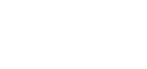 Original Lanyards For Professionals - Original Lanyards Logo (500x253), Png Download