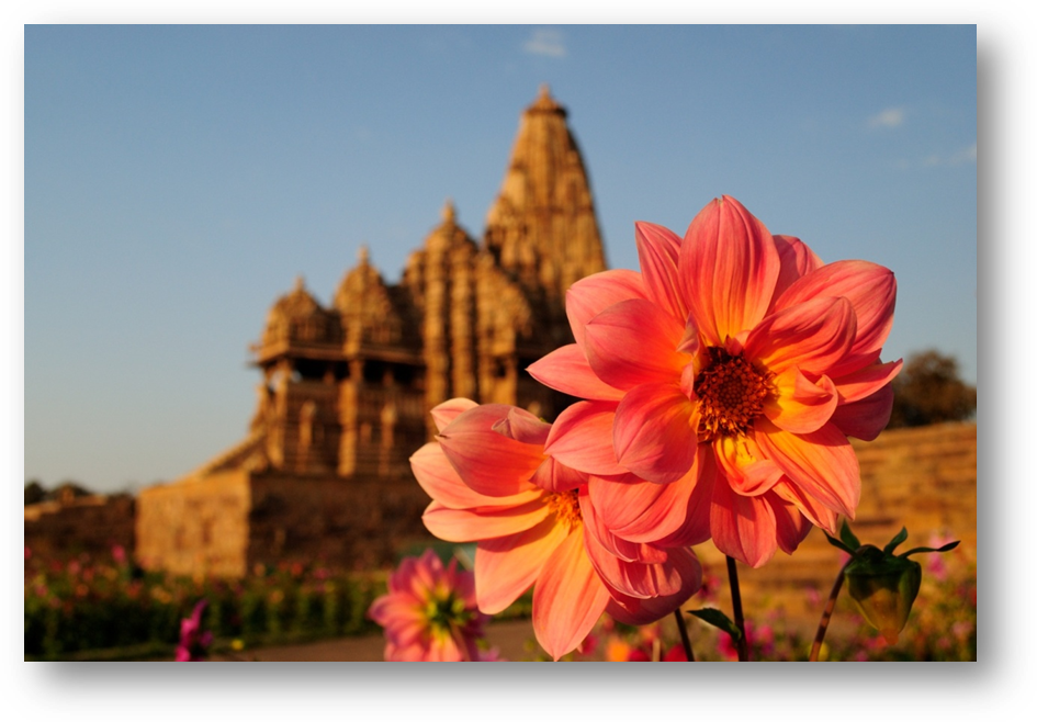 I Always Wanted To Visit Khajuraho - Dahlia (945x658), Png Download